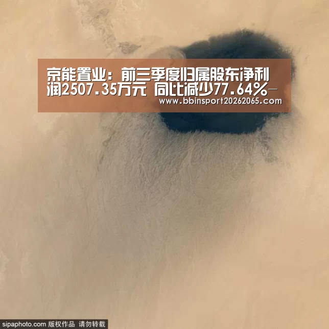 京能置业：前三季度归属股东净利润2507.35万元 同比减少